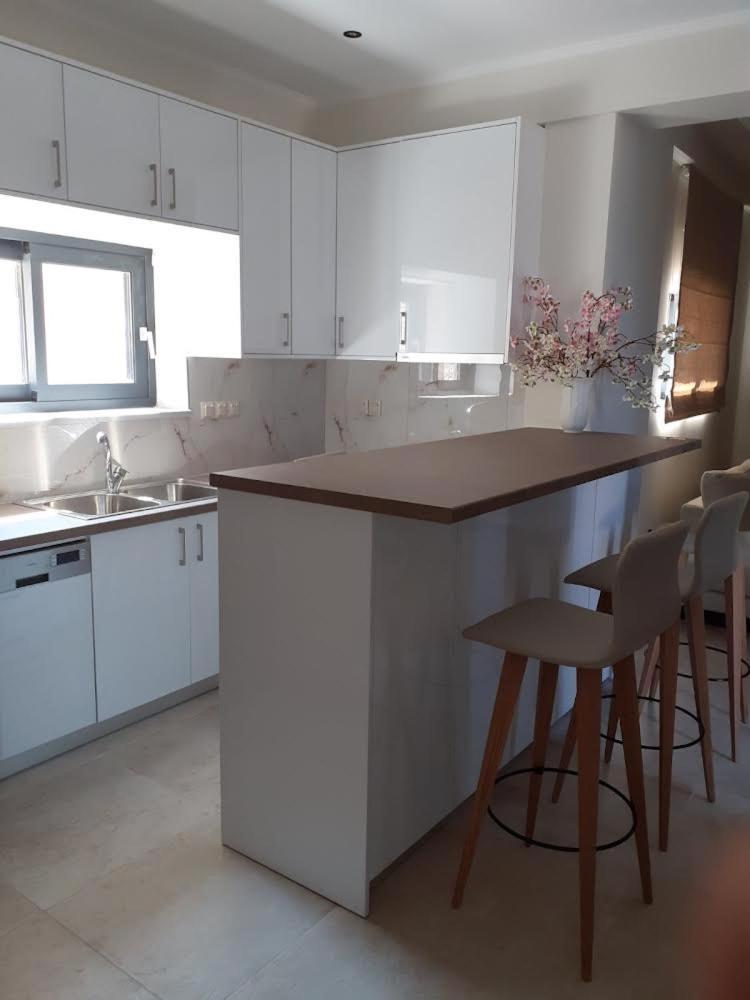 Ionian Stone Luxury Villa 尼基亚娜 外观 照片