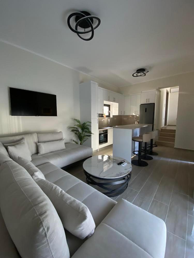 Ionian Stone Luxury Villa 尼基亚娜 外观 照片