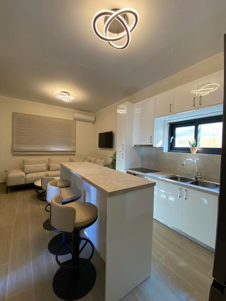 Ionian Stone Luxury Villa 尼基亚娜 外观 照片