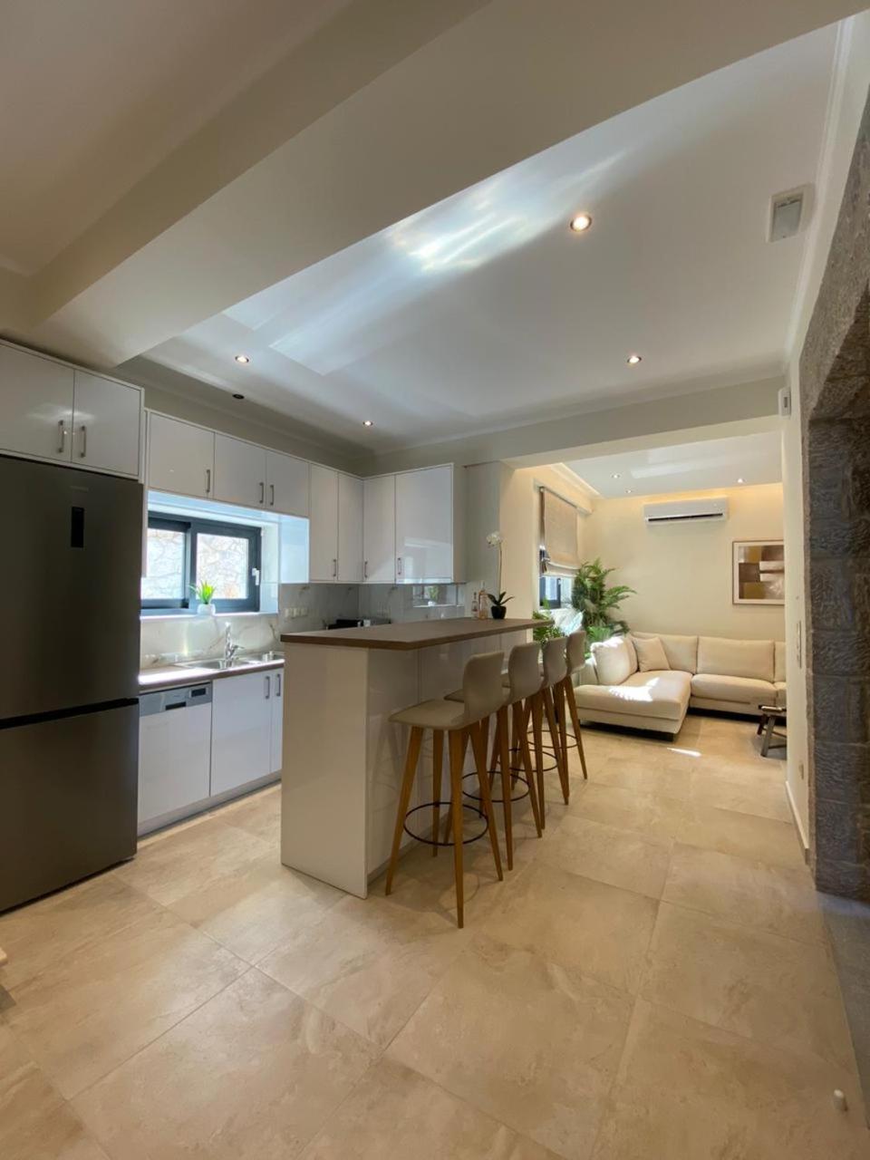 Ionian Stone Luxury Villa 尼基亚娜 外观 照片