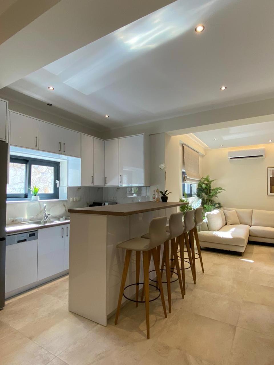 Ionian Stone Luxury Villa 尼基亚娜 外观 照片